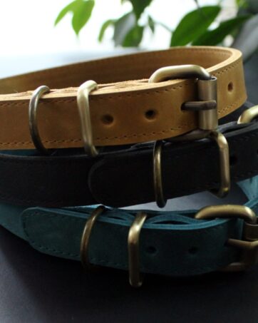 Leather medium dog collar